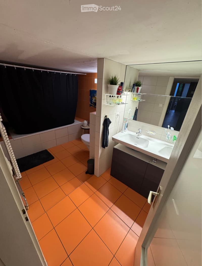 Magnifico loft duplex di 4,5 locali, 150 m² a Moudon (5)
