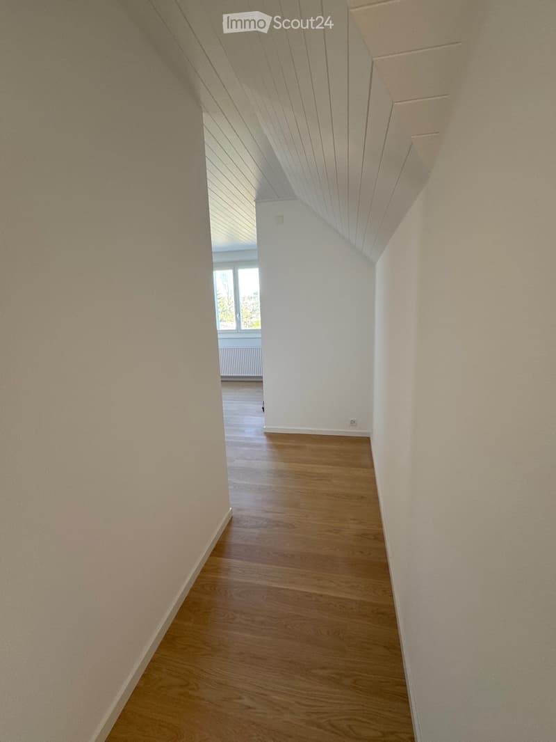 Appartamento di 4,5 locali in una villa di 3 appartamenti. (11)