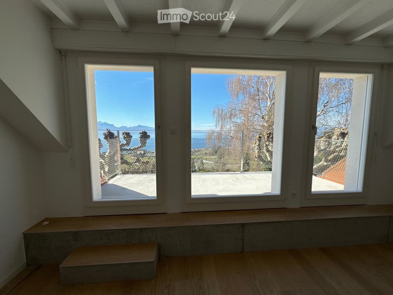 Appartamento di 4,5 locali in una villa di 3 appartamenti. (13)