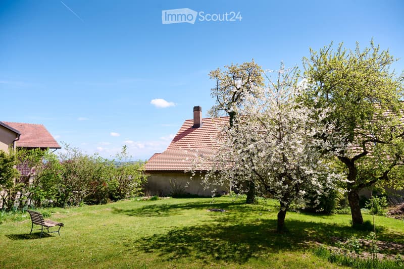 For Sale: Character Property in Berolle (3)