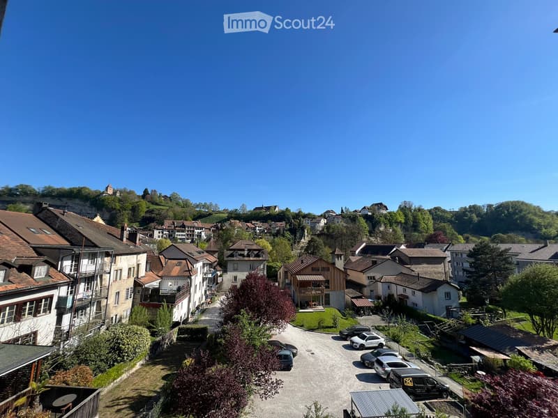 Basse ville Fribourg - 4,5-Zimmer-Wohnung zur Miete (1)
