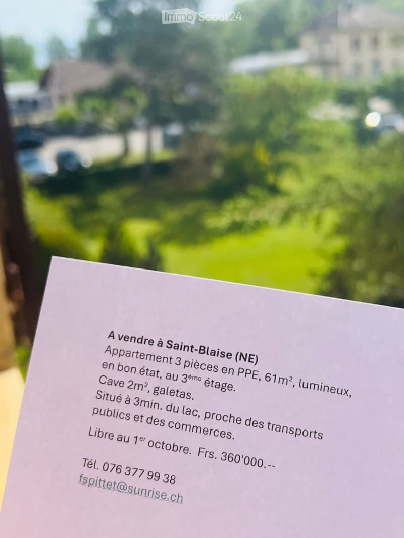 For sale in Saint-Blaise NE (1)