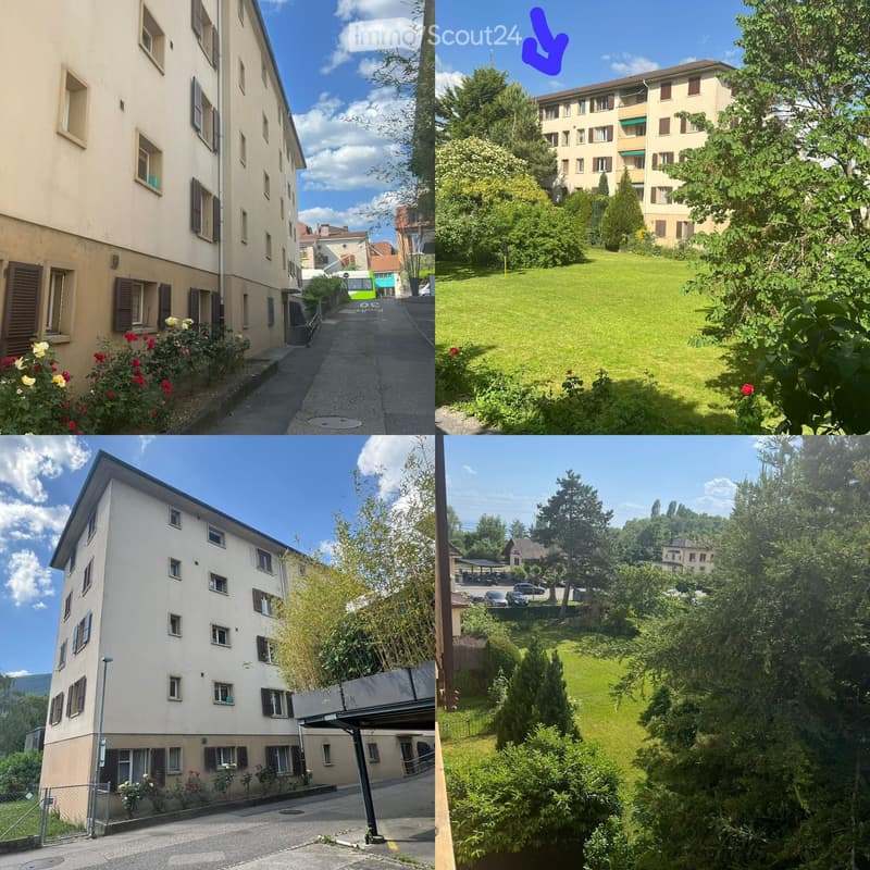 For sale in Saint-Blaise NE (5)