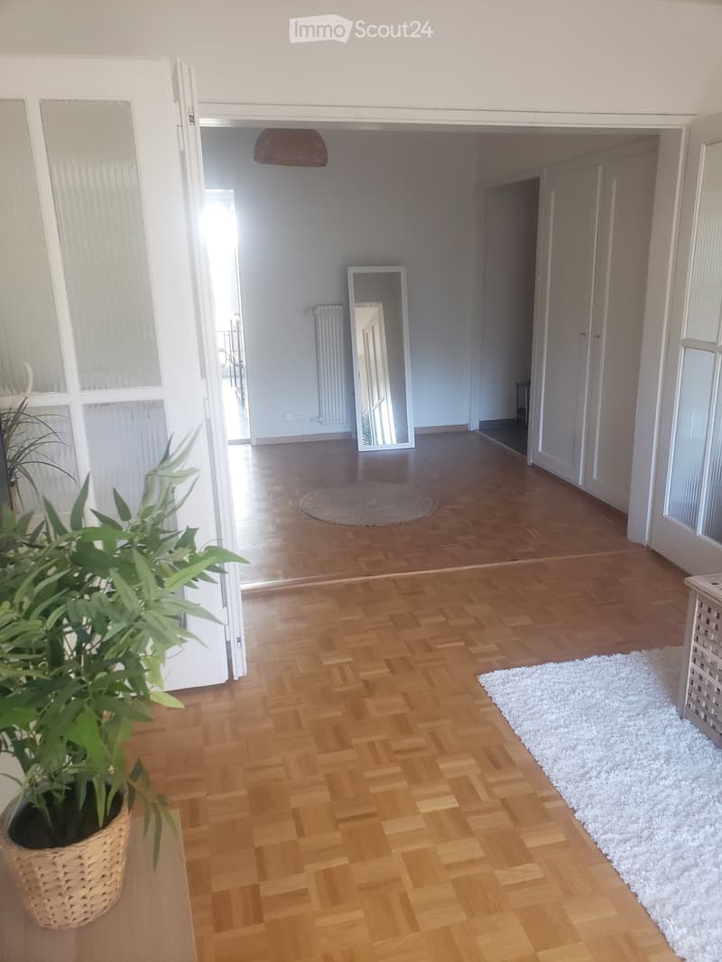 Spacieux 1.5pièce traversant avec balcon(Sous-Location 1007) (4)