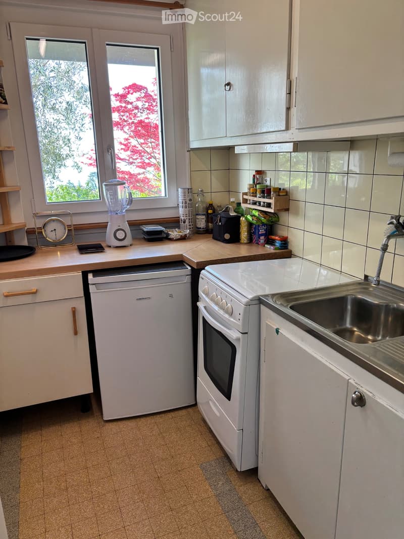 Wohnung zur Miete (2)