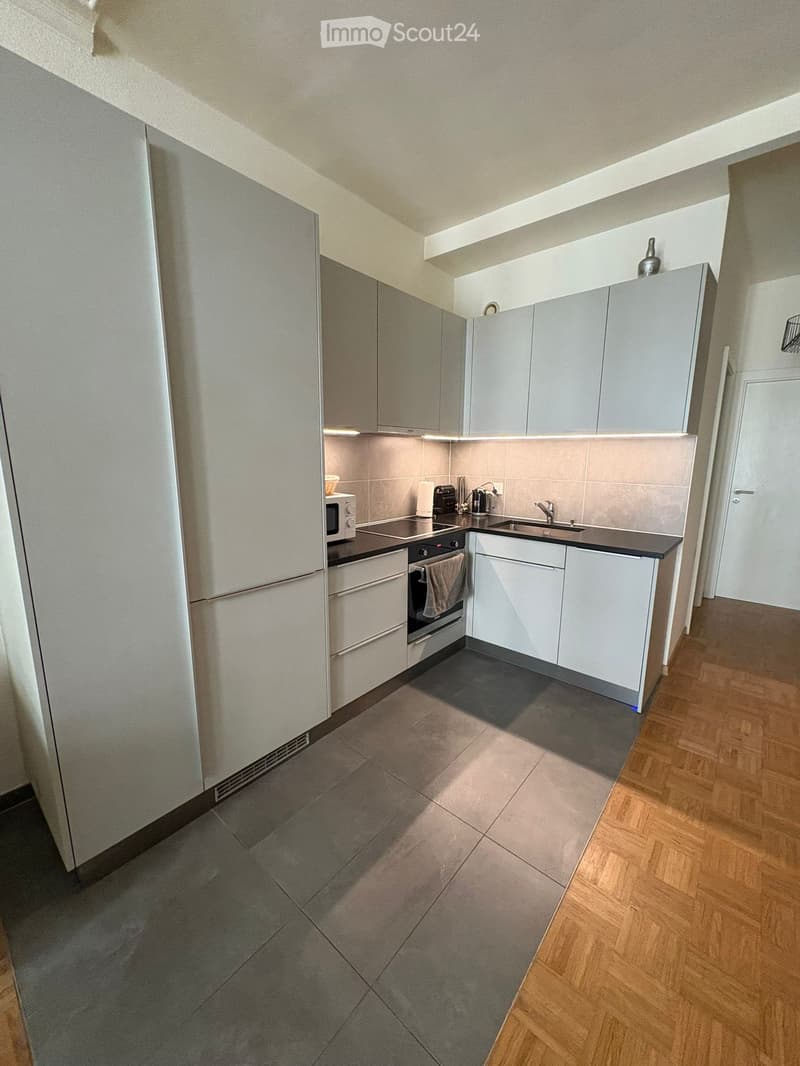 Appartement T3 avec balcon (2 chambres) (Servette 1202) (4)