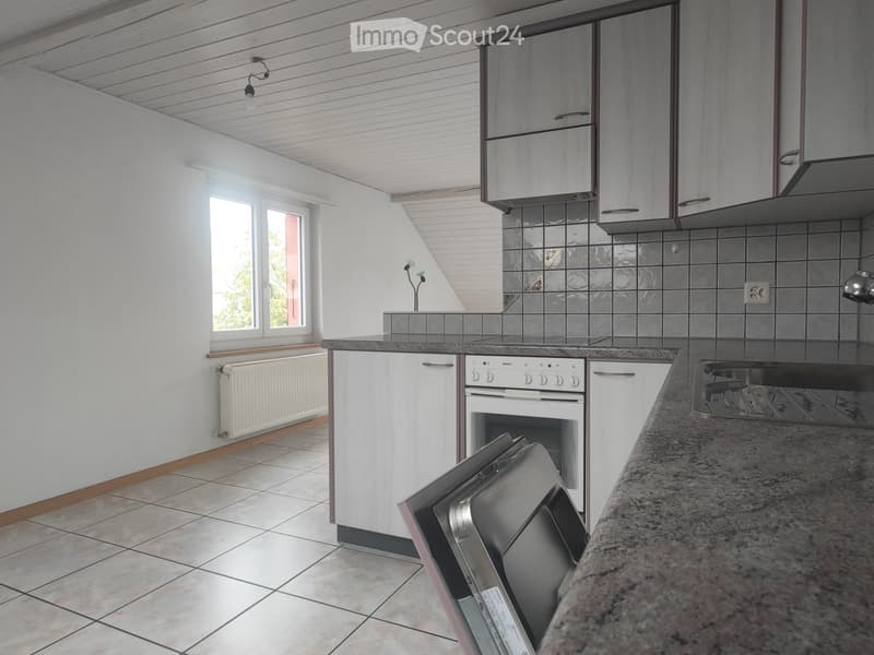 Appartement mansardé (4)
