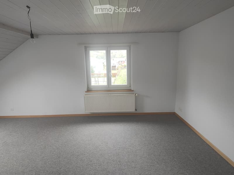 Appartement mansardé (7)