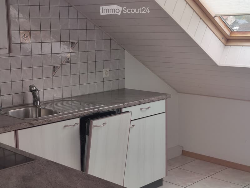 Appartement mansardé (2)