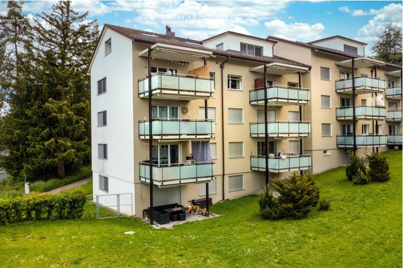 Appartamento Affoltern a.Albis - Sottolocatario ricercato dal 01.07.2026 (1)