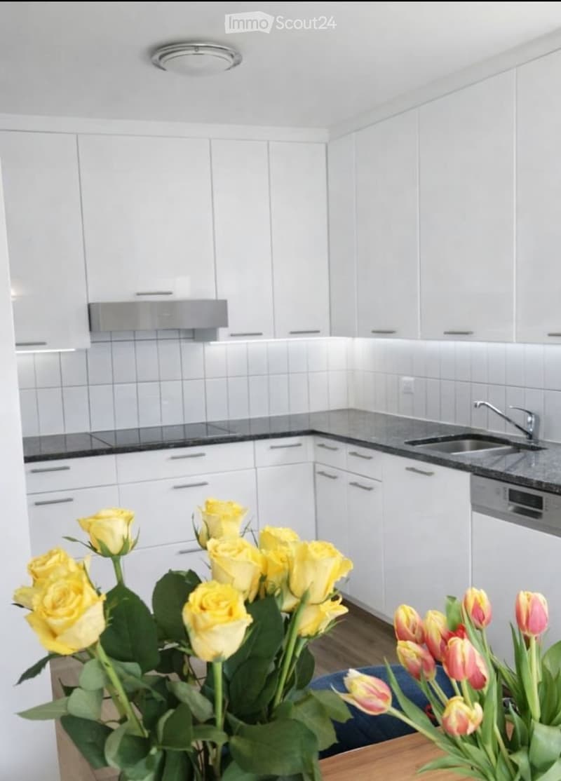 Attraktive 4.5-Zimmer Eigentumswohnung in Biel/Bienne (3)