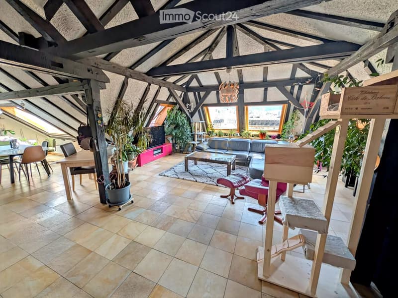 Schöne Lage für diese großartige 7-Zimmer-Wohnung (1)