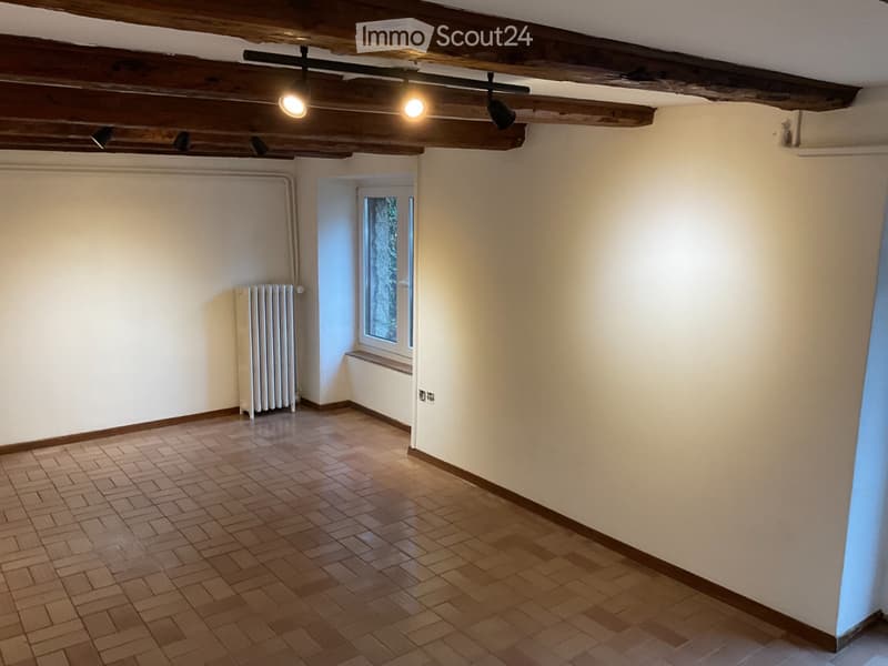 Cernier Studio, mit unabhängigem Eingang, Gartennische (3)