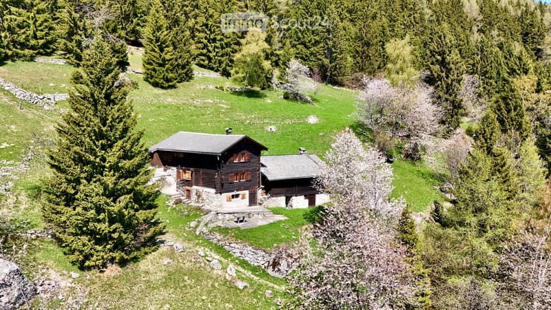 Prenotato!! Chalet autentico con vista (1)