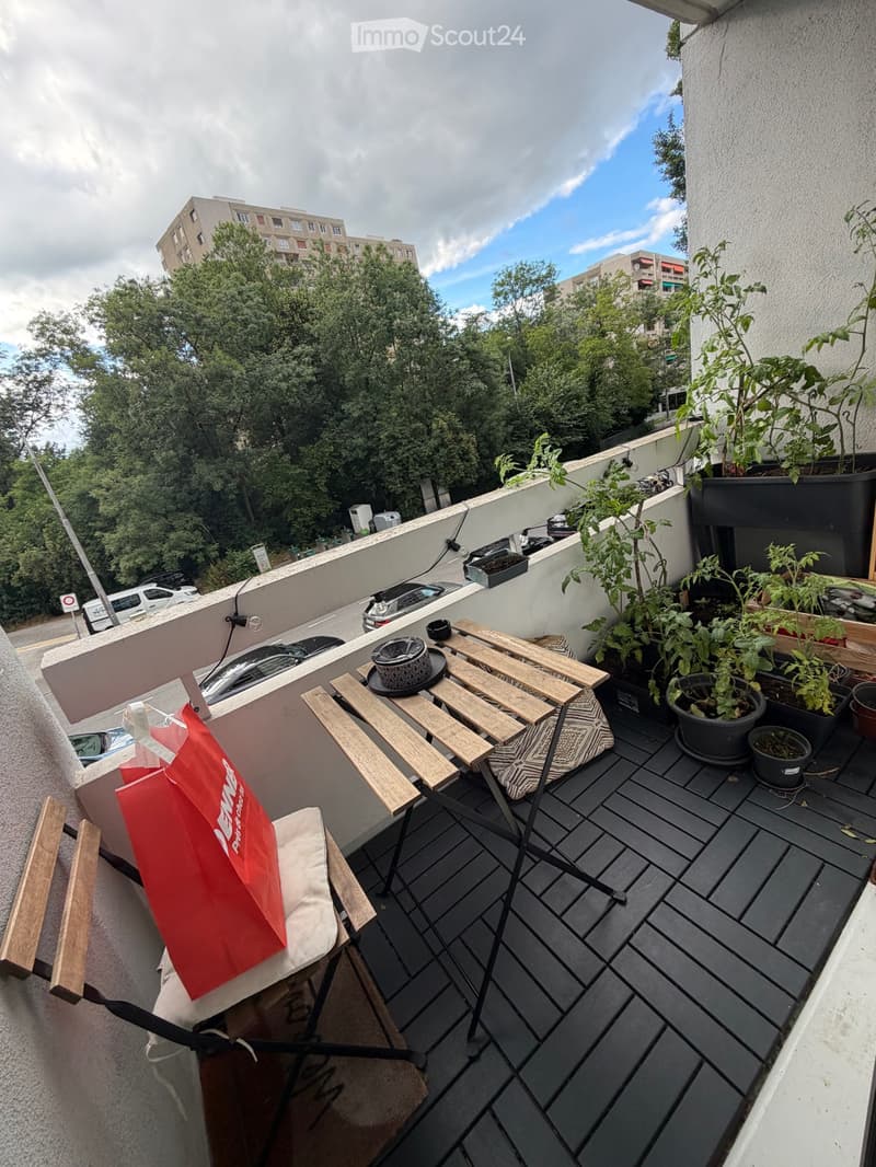 Appartement 3p à louer (2)