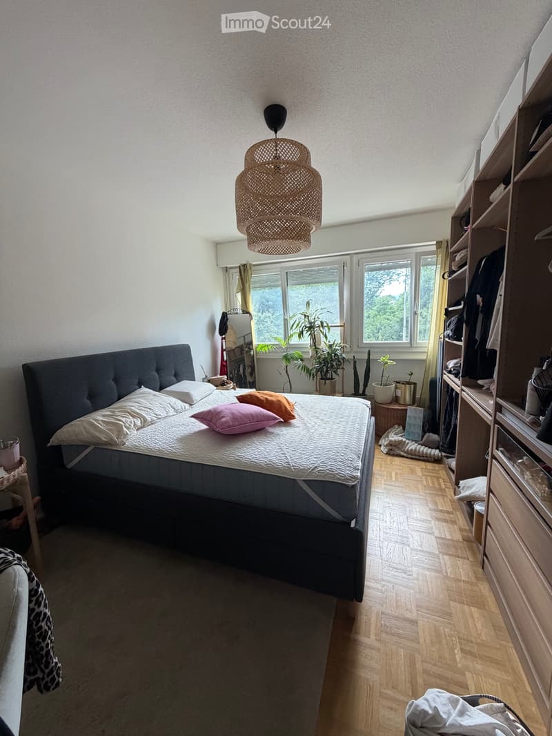 Appartement 3p à louer (3)