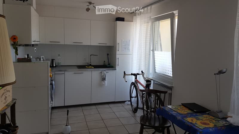 Appartamento attraente di 2.5 locali con vista sul Reno e balcone (1)