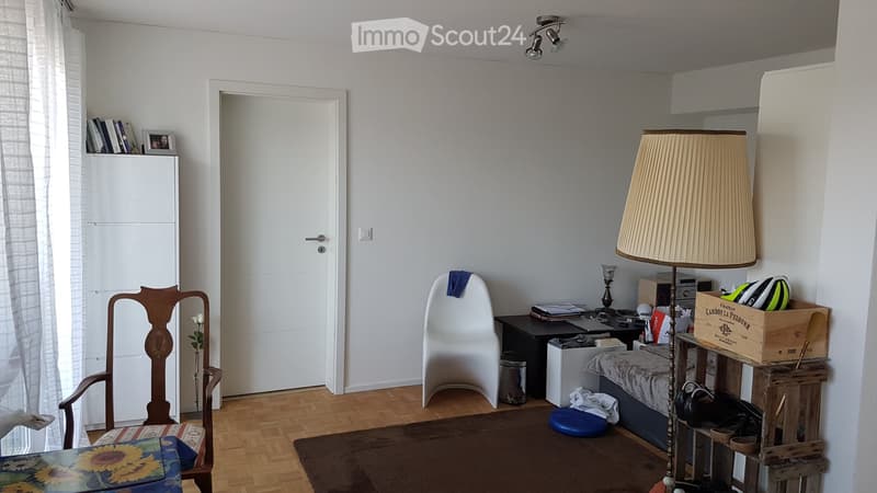 Appartamento attraente di 2.5 locali con vista sul Reno e balcone (2)