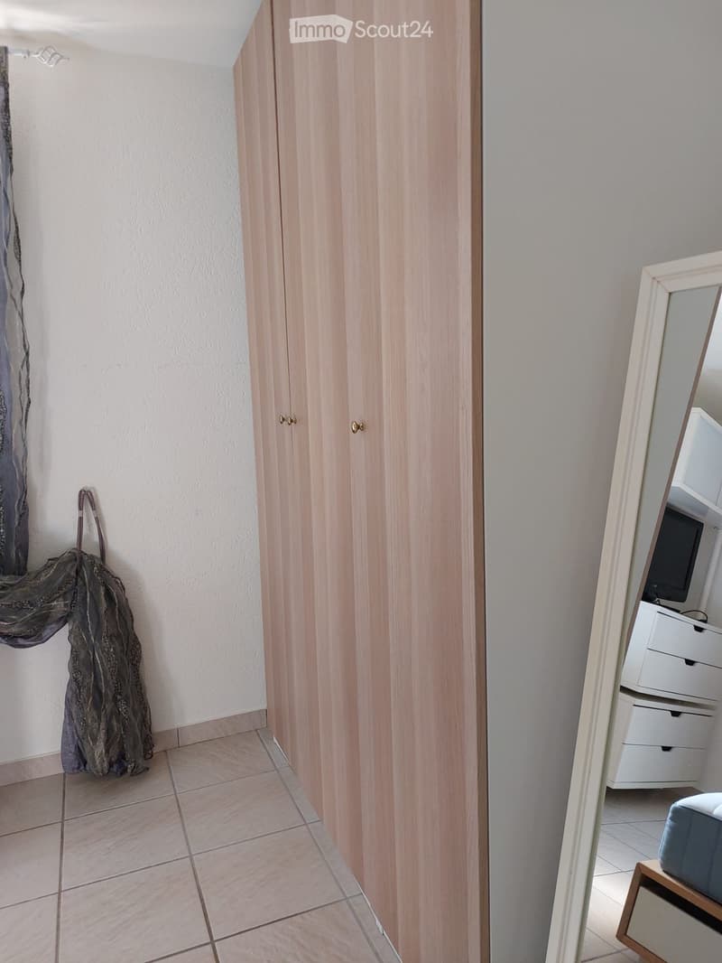 Appartamento arredato 2 locali (1)