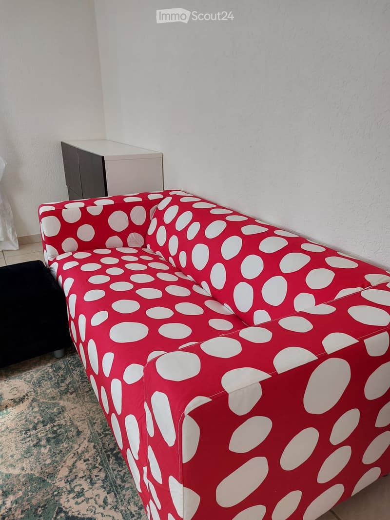 Appartamento arredato 2 locali (5)