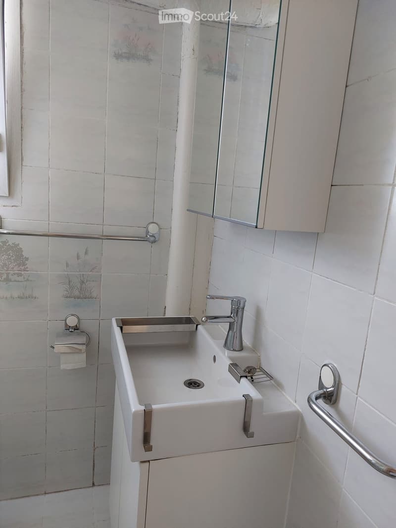 Appartamento arredato 2 locali (4)