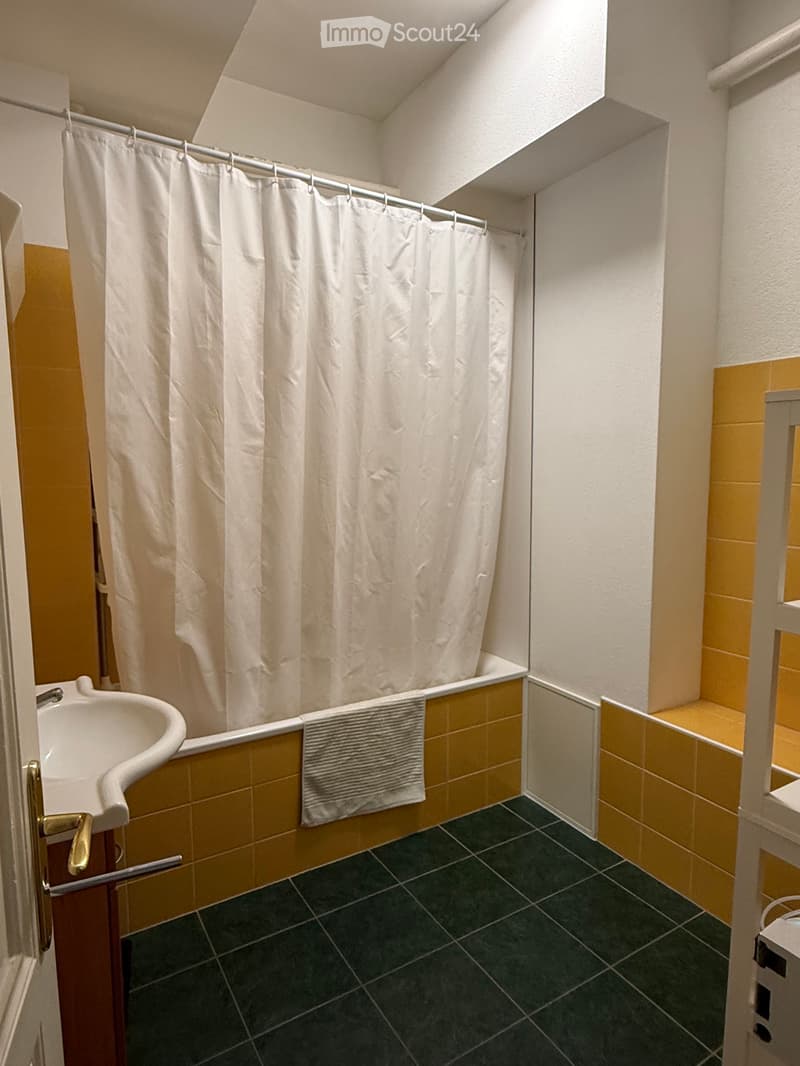 Appartamento di 4,5 locali - Boulevard de Pérolles - Friburgo (11)