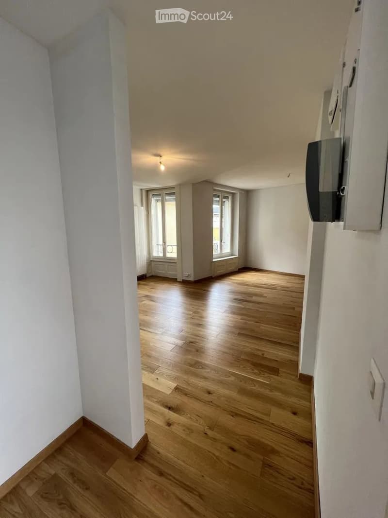 2 chambres appartement de 36m² dans Genève (4)