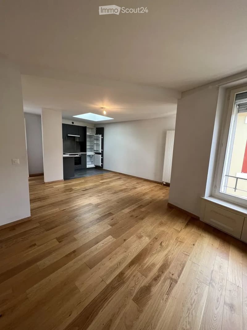2 chambres appartement de 36m² dans Genève (3)