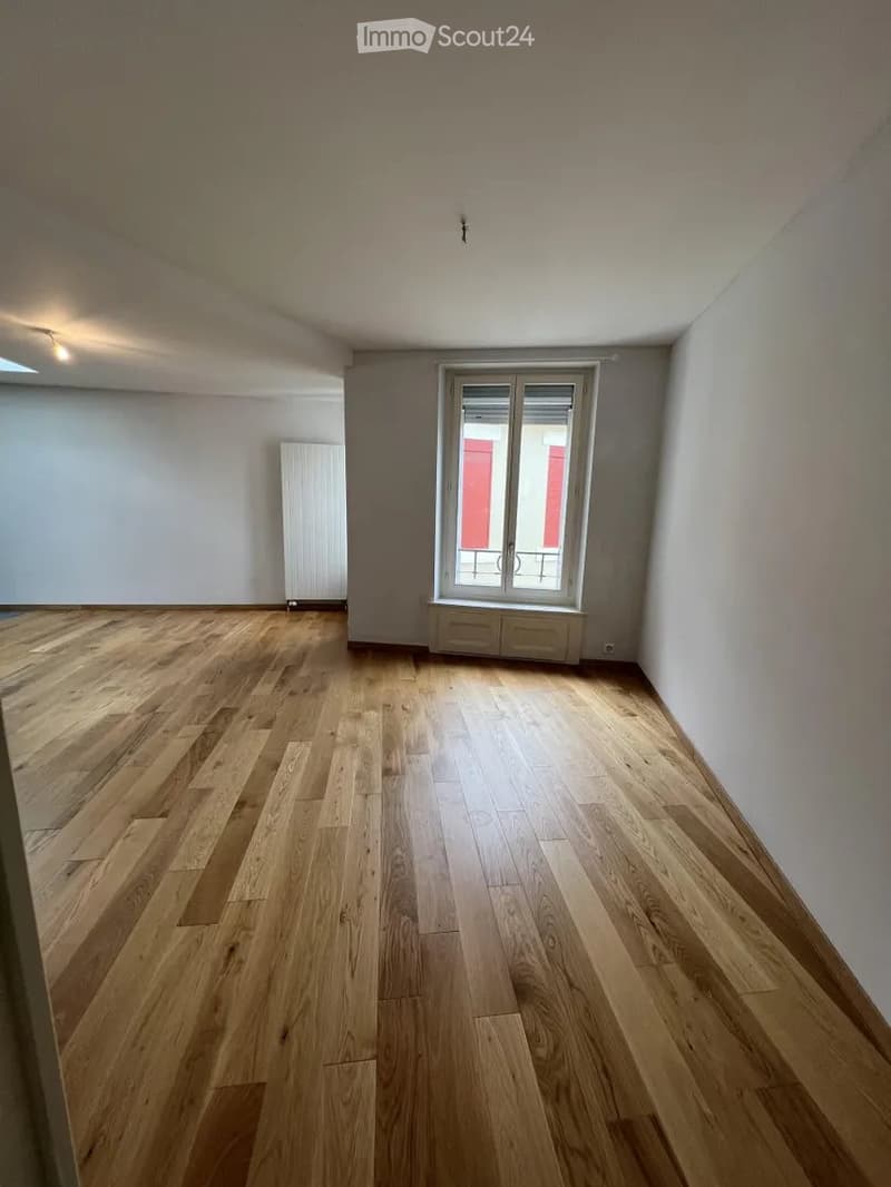 2 chambres appartement de 36m² dans Genève (2)