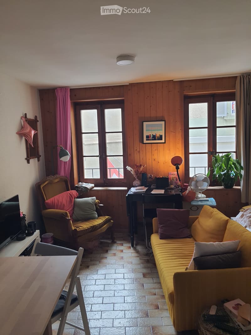 Studio 30m² Lausanne (2)