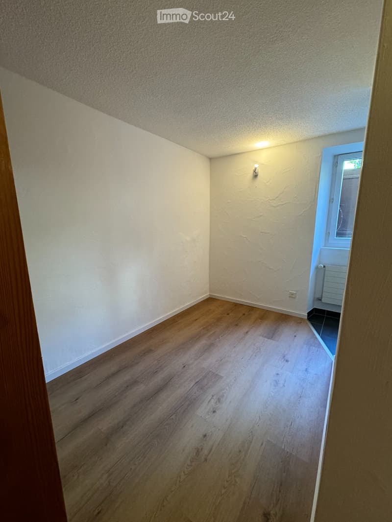 Appartamento di 2 locali ristrutturato (3)