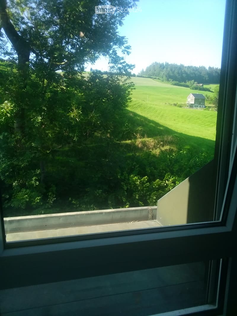 Chambre meublée disponible à partir du 1er juillet pour une 2e femme en colocation (2)