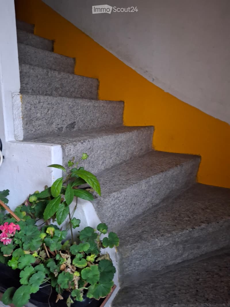 Casa con parco, fienile, 375m2 di terreno, giardino, cantina, capanno (4)