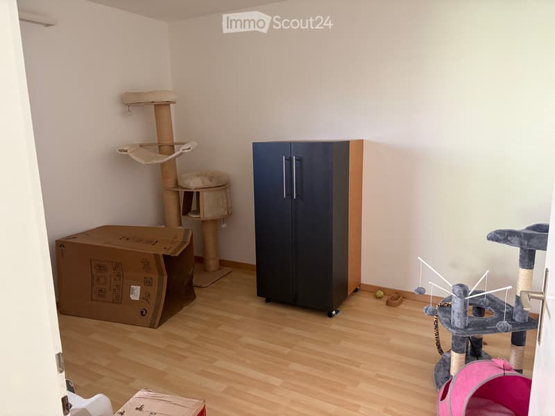 Room for rent in a shared apartment (3)