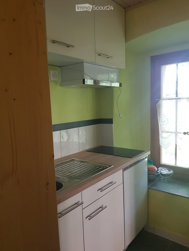 Zweizimmerwohnung in einer ruhigen Grüninsel 1200.- pro Monat (3)