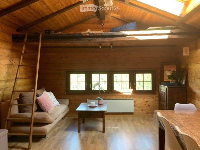Appartement duplex 2,5 pièces avec parcelle (1)