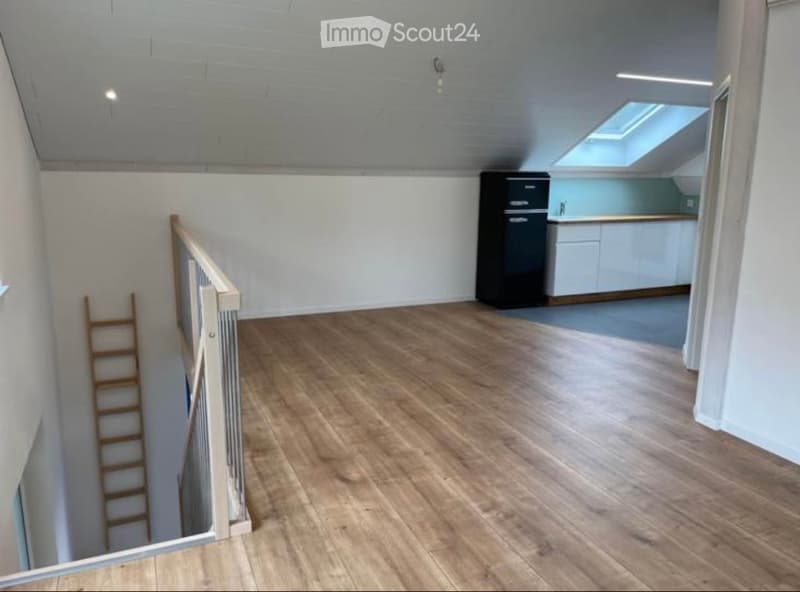 Super Appartement (4)