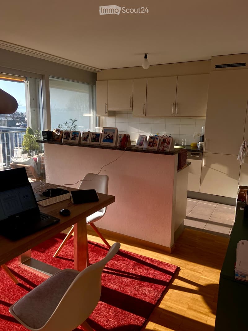Duplex 4,5 locali (2)