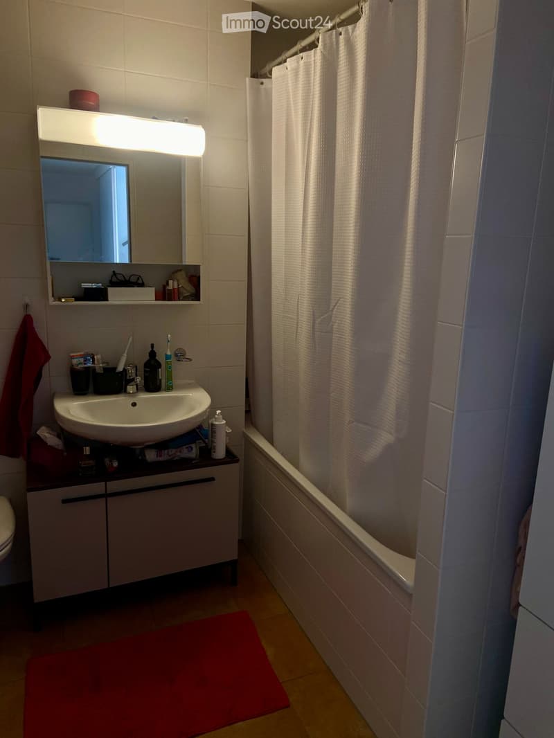 Duplex 4,5 locali (5)