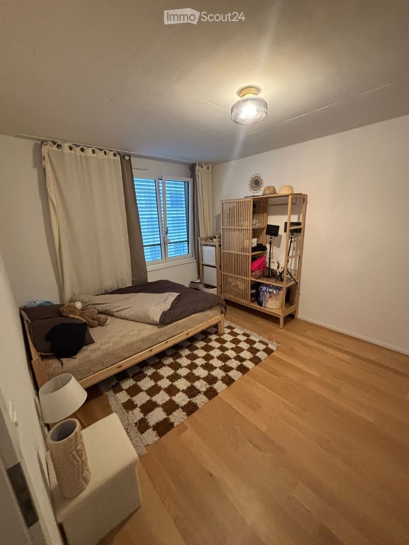 Bella appartamento 2.5 locali 1610.- spese incluse (2)