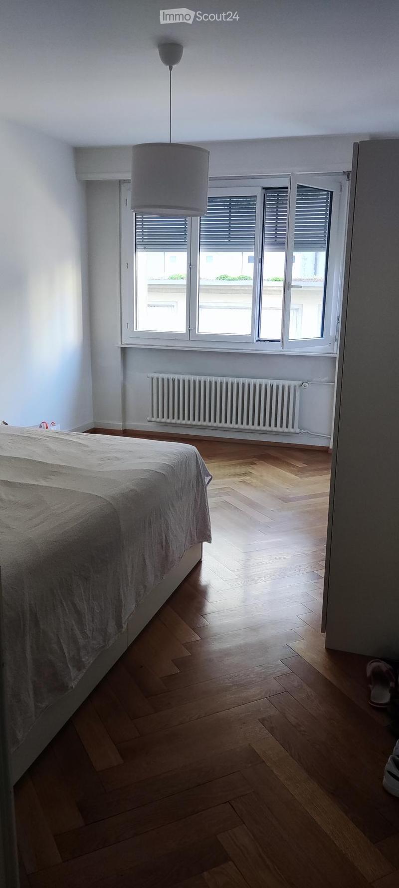 Appartamento 3 locali in affitto (3)