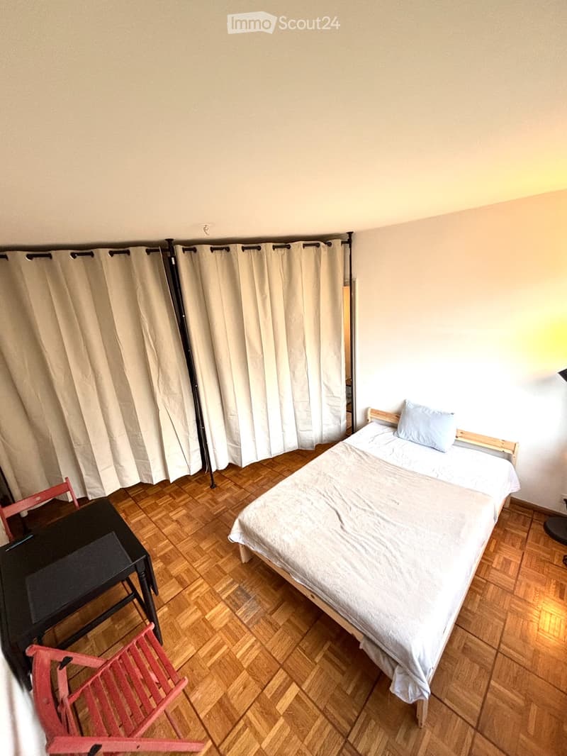 Großes Zimmer in Wohngemeinschaft - Lausanne Beaulieu (1)