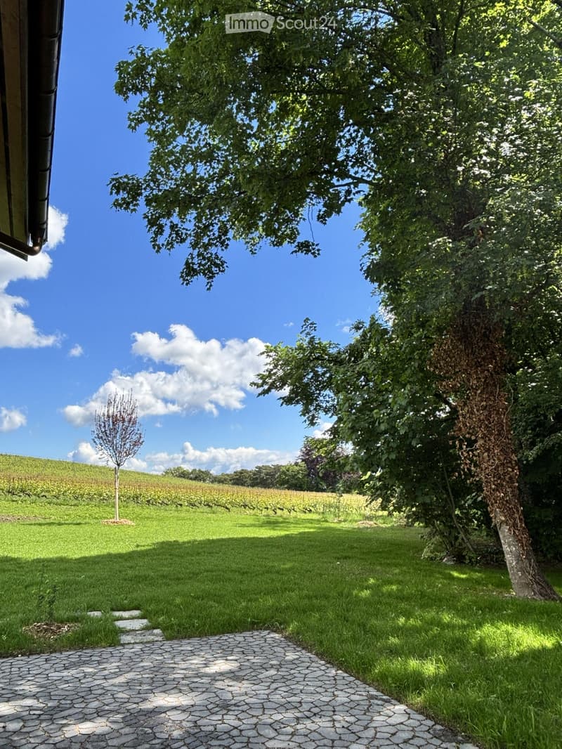 Schönes vollständig renoviertes Haus (4)