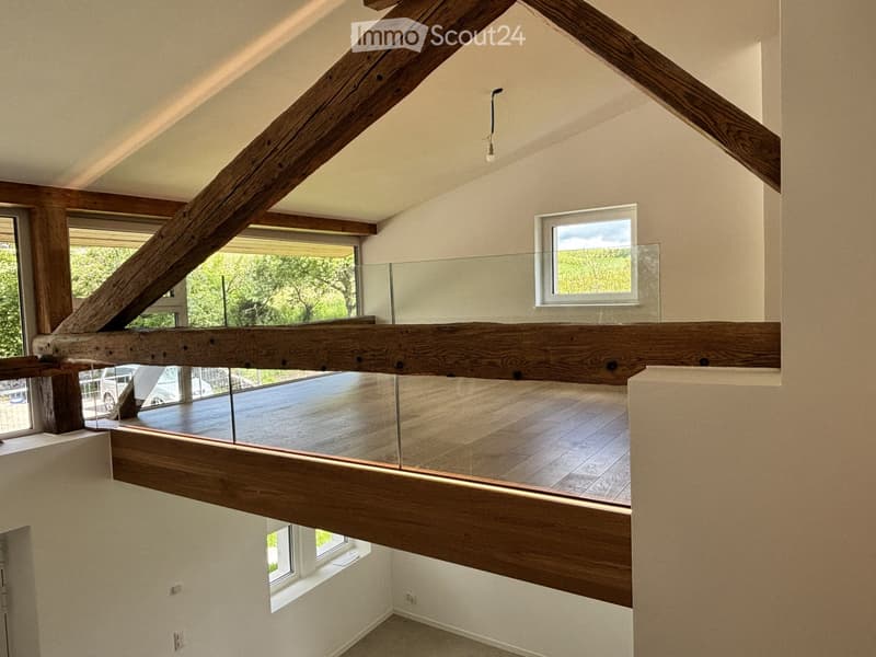 Schönes vollständig renoviertes Haus (5)