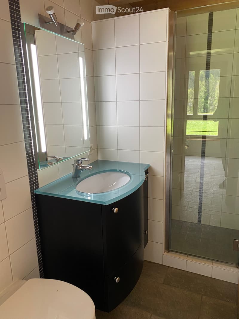 Schönes 4,5-Zimmer-Apartment (5)