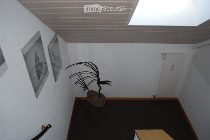 Cozy 3.5-room attic apartment in Aarau Rohr (5)