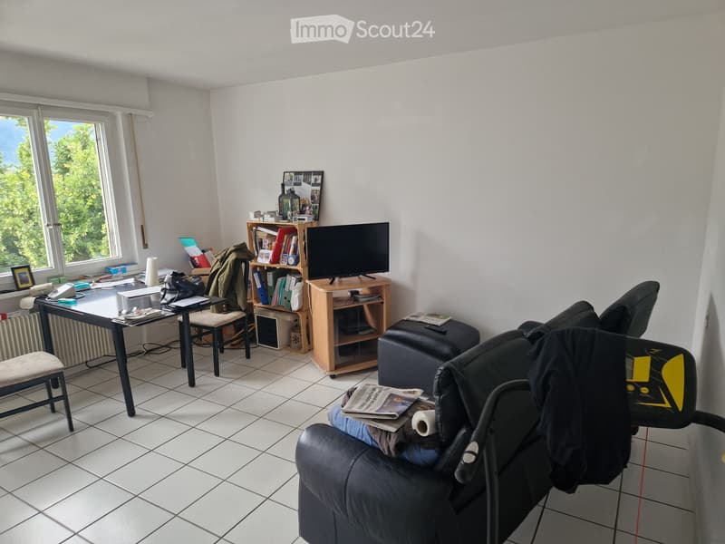 Apparemment 2,5 à louer (4)
