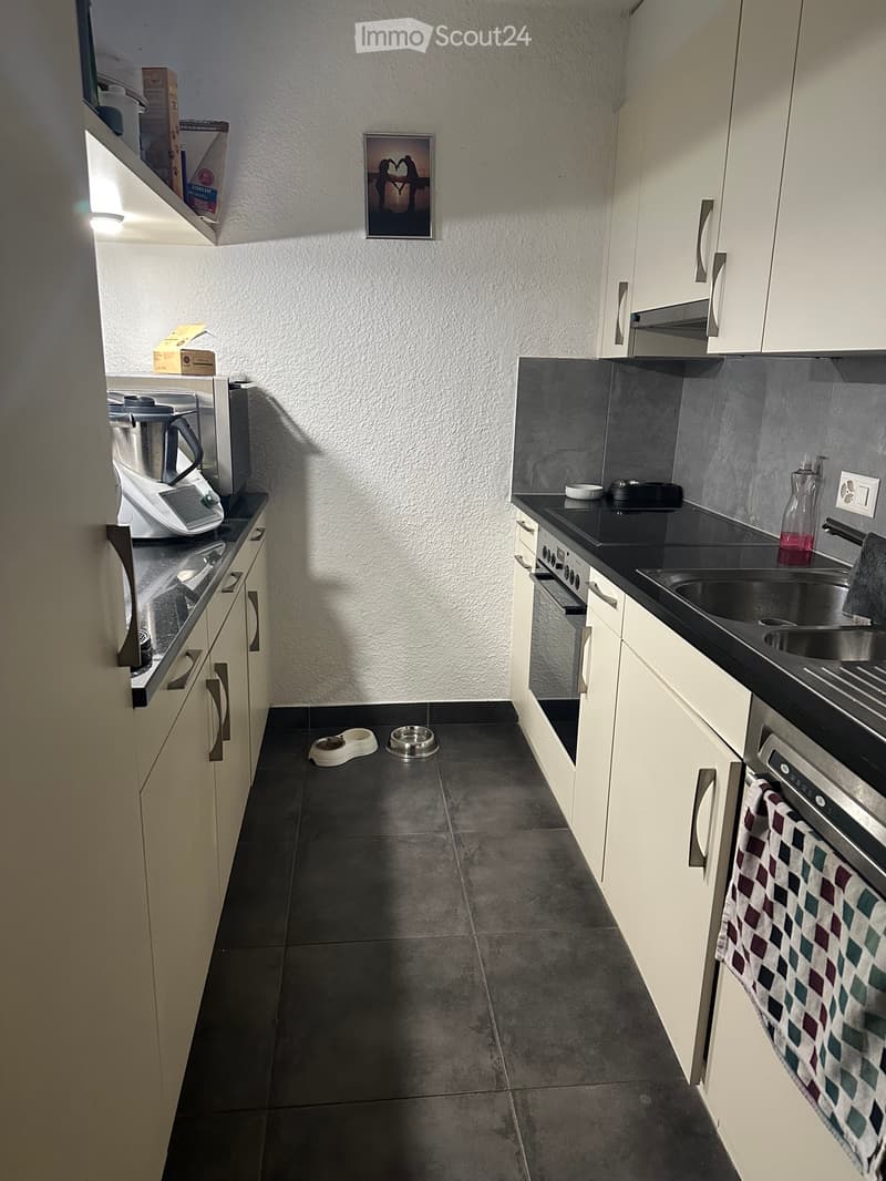 Duplex-Wohnung und Terrasse in Yverdon (3)