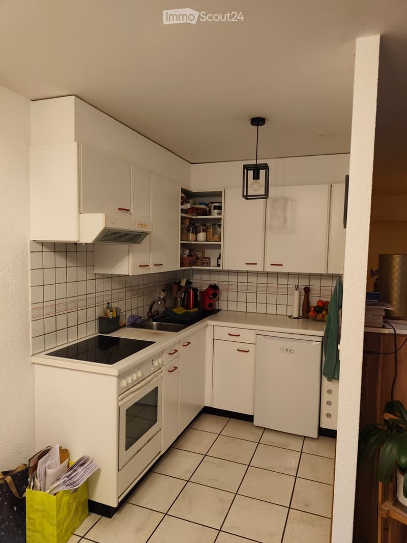 Appartement calme de 2 pièces à Châtel-St-Denis (3)
