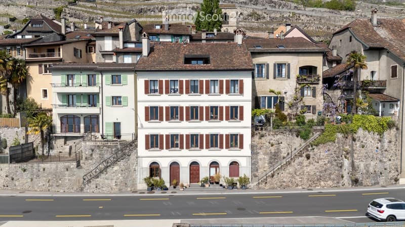 S-Saphorin Lavaux, vista lacustre panoramica, balcone vasca da bagno (1)